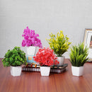NOBILITY Set of 5 Bonsai Wild Artificial Plant with Pot (Multicoloured, 5 Pieces) Artificial Plants for Home Decor -Best Different Types of Decorative Plants Artificial Flowers with Pot